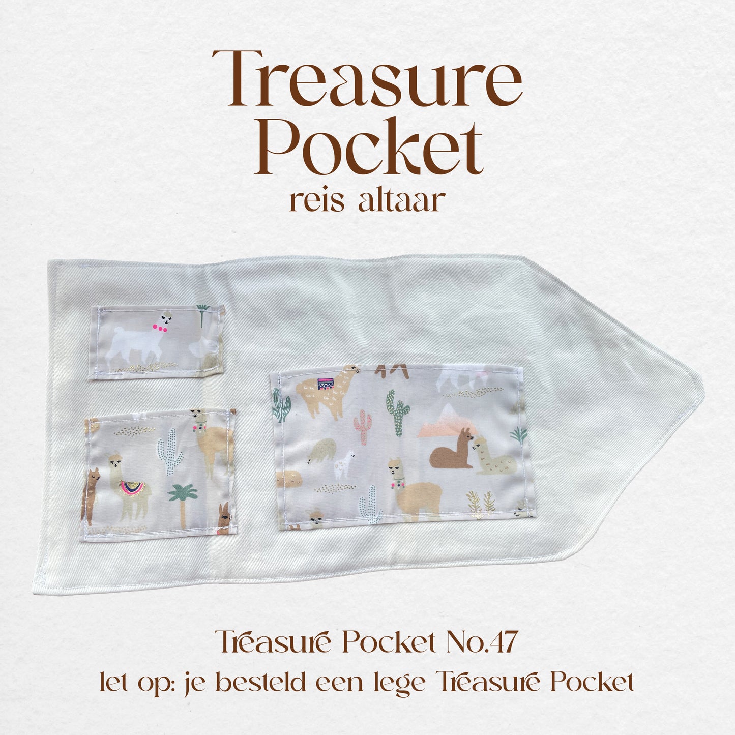 Treasure Pocket No.47