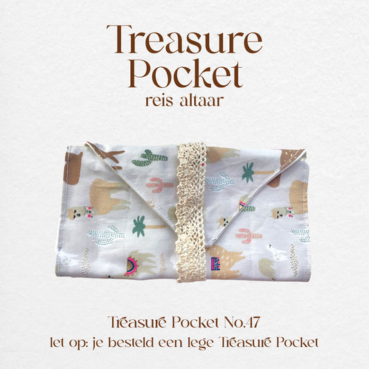 Treasure Pocket No.47